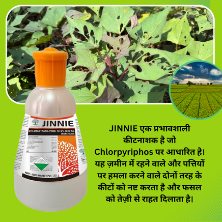 Agro Market Pvt. Ltd promo