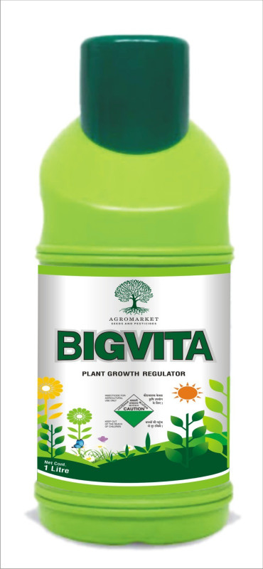 Bigvita