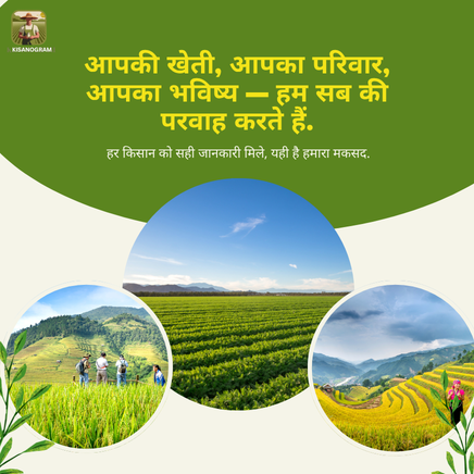 Agro Market Pvt. Ltd promo