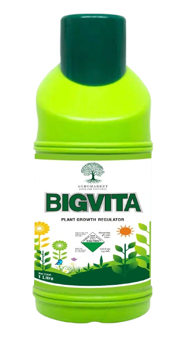 Bigvita