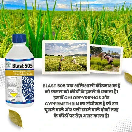 Agro Market Pvt. Ltd promo