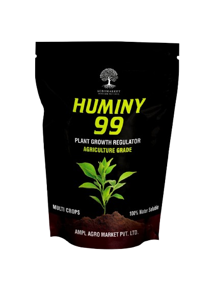 Hummy 99